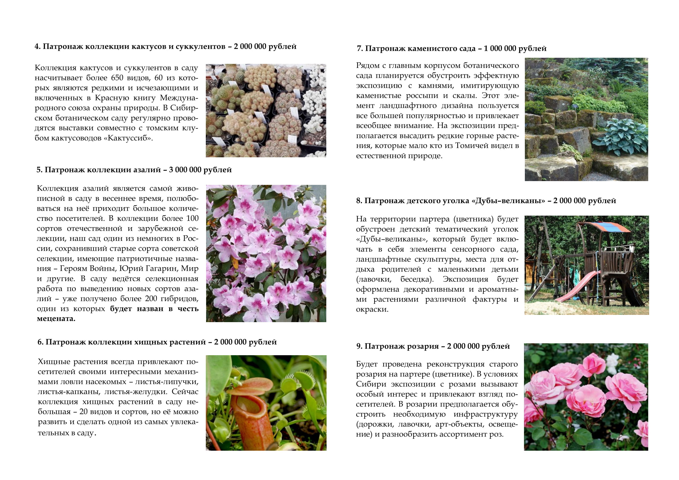 Публичный-сбор-средств-в-честь-140-летия-Сибирского-ботанического-сада-ТГУ-3