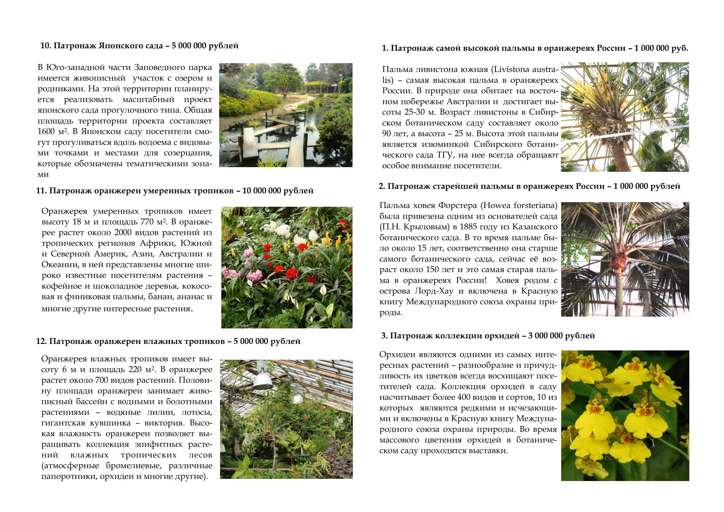 Публичный-сбор-средств-в-честь-140-летия-Сибирского-ботанического-сада-ТГУ-4