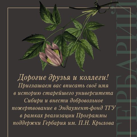 Программа поддержки Гербария им. П.Н. Крылова ТГУ