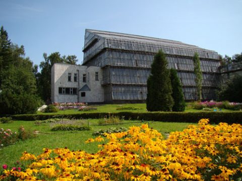 Эндаумент-фонд ТГУ открывает сбор средств на поддержание редких растений Сибирского ботанического сада